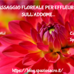 Massaggio Floreale Per Effleurage Sull'addome
