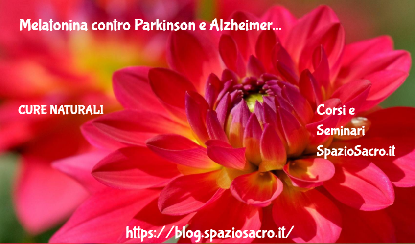 Melatonina contro Parkinson e Alzheimer 1 Melatonina Contro Parkinson E Alzheimer