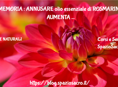 MEMORIA : ANNUSARE olio essenziale di ROSMARINO AUMENTA LA MEMORIA DEL 75% 43 Memoria : Annusare Olio Essenziale Di Rosmarino Aumenta La Memoria Del 75%