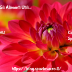 Memoria : Gli Alimenti Utili