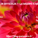 Memoria In Difficolta' ? : La Bacopa Ti Aiuta