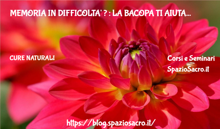Memoria in difficolta' ? : la bacopa ti aiuta 1 Memoria In Difficolta' ? : La Bacopa Ti Aiuta
