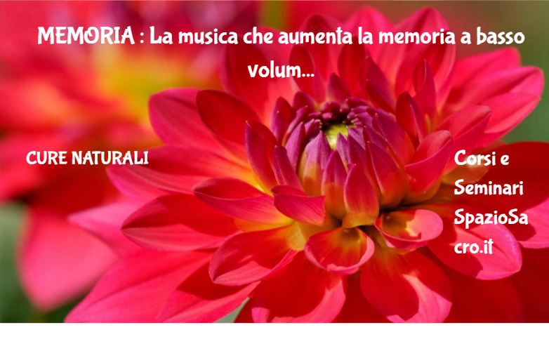 MEMORIA : La musica che aumenta la memoria a basso volume diffusa durante le fasi di sonno profondo 1 Memoria : La Musica Che Aumenta La Memoria A Basso Volume Diffusa Durante Le Fasi Di Sonno Profondo