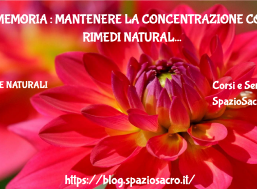 Memoria : Mantenere La Concentrazione Con Rimedi Naturali