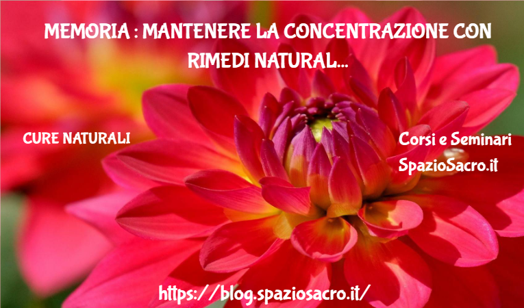Memoria : Mantenere La Concentrazione Con Rimedi Naturali