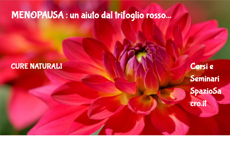 Menopausa : Un Aiuto Dal Trifoglio Rosso