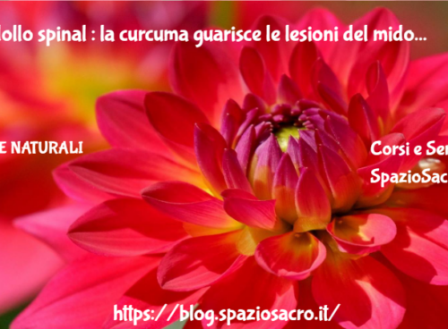 Midollo spinal : la curcuma guarisce le lesioni del midollo spinale meglio dei farmaci 62 Midollo Spinal : La Curcuma Guarisce Le Lesioni Del Midollo Spinale Meglio Dei Farmaci