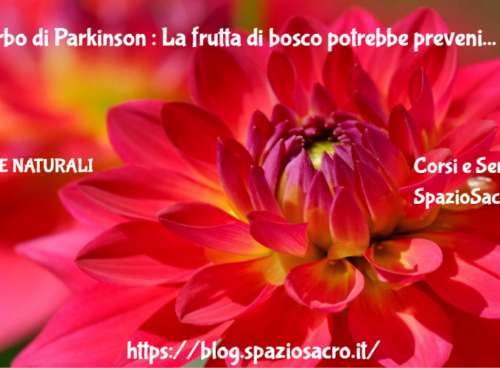 morbo di Parkinson : La frutta di bosco potrebbe prevenire il morbo di Parkinson 43 Morbo Di Parkinson : La Frutta Di Bosco Potrebbe Prevenire Il Morbo Di Parkinson