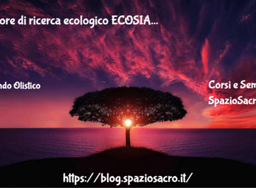 Motore di ricerca ecologico ECOSIA 23 Motore Di Ricerca Ecologico Ecosia