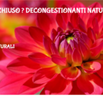 Naso Chiuso ? Decongestionanti Naturali