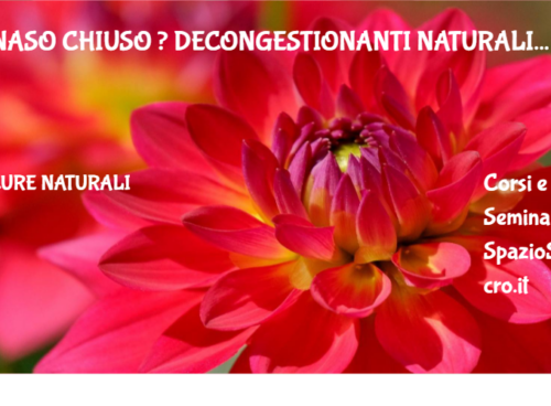Naso chiuso ? Decongestionanti naturali 54 Naso Chiuso ? Decongestionanti Naturali