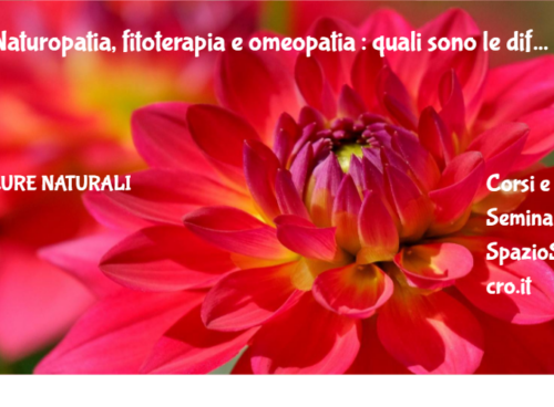Naturopatia, Fitoterapia E Omeopatia : Quali Sono Le Differenze?