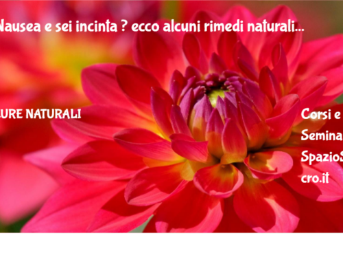 Nausea e sei incinta ? ecco alcuni rimedi naturali 44 Nausea E Sei Incinta ? Ecco Alcuni Rimedi Naturali