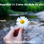 Nel campo magnetico c'e' il seme che diede via alla vita vegetale sulla Terra 3 Nel Campo Magnetico C'e' Il Seme Che Diede Via Alla Vita Vegetale Sulla Terra