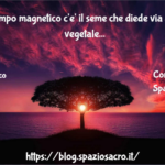 Nel Campo Magnetico C'e' Il Seme Che Diede Via Alla Vita Vegetale Sulla Terra