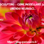 Neurosculpting - come modellare la mente unendo neuroscienze e spiritualita' 2 Neurosculpting Come Modellare La Mente Unendo Neuroscienze E Spiritualita'
