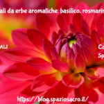 Oli Essenziali Da Erbe Aromatiche: Basilico, Rosmarino E Salvia