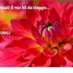 Oli Essenziali: Il Mio Kit Da Viaggio