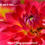 Oli Essenziali Per Il Viso....