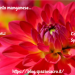 Oligoelemento Manganese