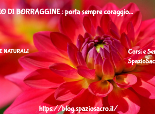 Olio Di Borraggine : Porta Sempre Coraggio