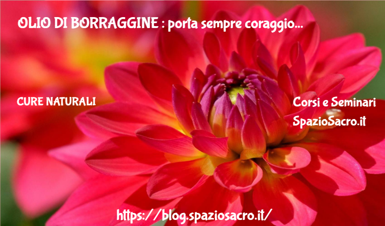 OLIO DI BORRAGGINE : porta sempre coraggio 1 Olio Di Borraggine : Porta Sempre Coraggio