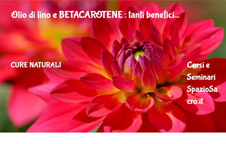 Olio di lino e BETACAROTENE : tanti benefici 1 Olio Di Lino E Betacarotene : Tanti Benefici
