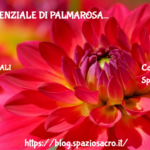 Olio Essenziale Di Palmarosa