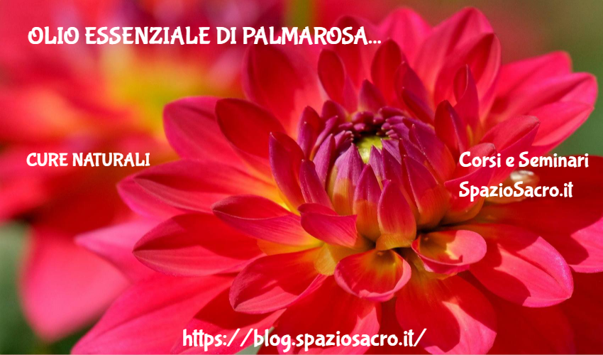 Olio Essenziale Di Palmarosa