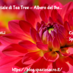 Olio essenziale di Tea Tree - Albero del the 3 Olio Essenziale Di Tea Tree Albero Del The