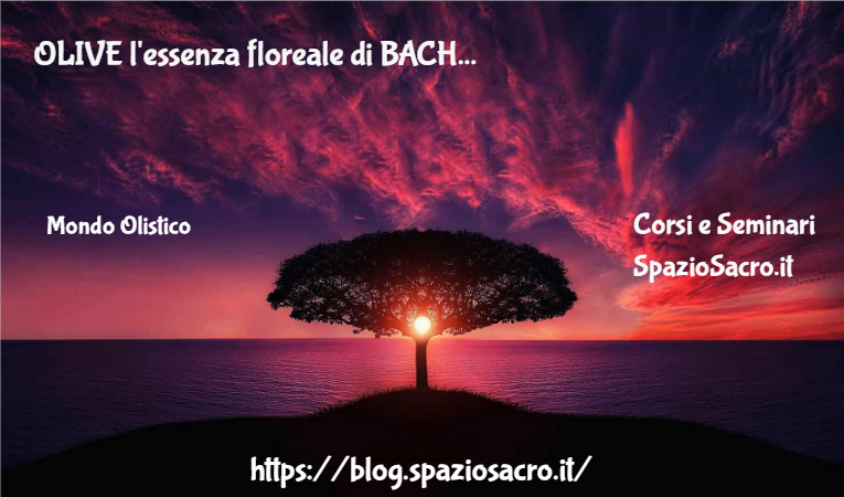 OLIVE l'essenza floreale di BACH 1 Olive L'essenza Floreale Di Bach
