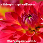 Omeopatia e fitoterapia: scopri le differenze 2 Omeopatia E Fitoterapia: Scopri Le Differenze