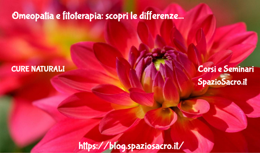 Omeopatia E Fitoterapia: Scopri Le Differenze