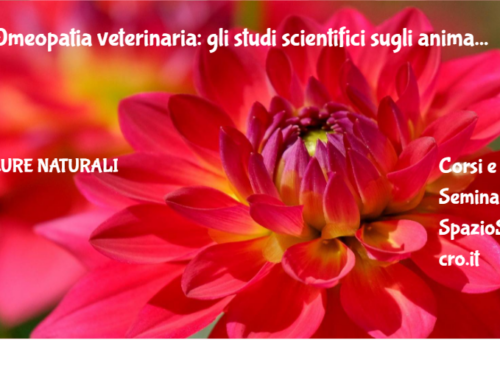 Omeopatia veterinaria: gli studi scientifici sugli animali 56 Omeopatia Veterinaria: Gli Studi Scientifici Sugli Animali