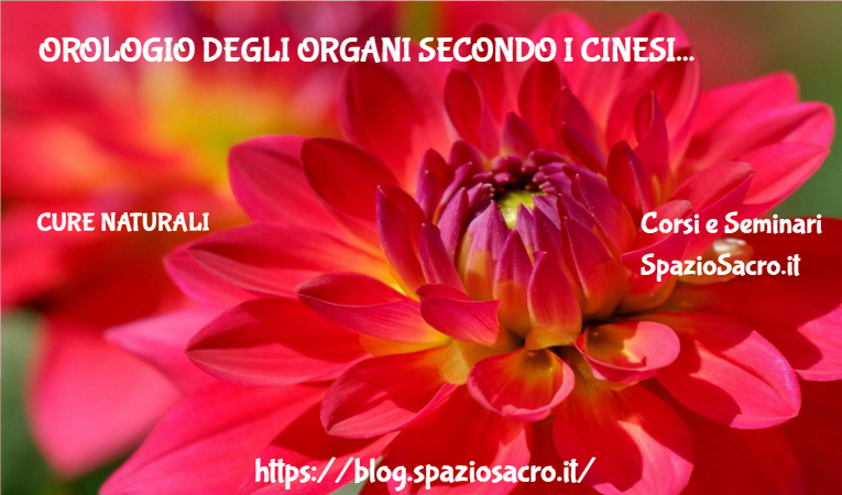 Orologio degli organi secondo i cinesi 1 Orologio Degli Organi Secondo I Cinesi