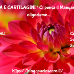 OSSA E CARTILAGINI ? Ci pensa il Manganese in oligoelemento 3 Ossa E Cartilagini ? Ci Pensa Il Manganese In Oligoelemento