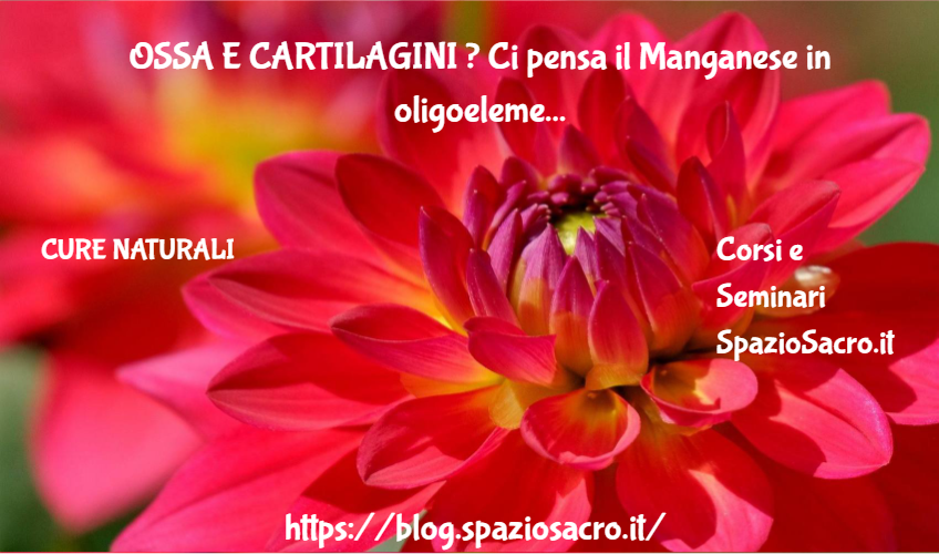 Ossa E Cartilagini ? Ci Pensa Il Manganese In Oligoelemento