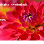 Ovaio policistico : rimedi naturali 2 Ovaio Policistico : Rimedi Naturali