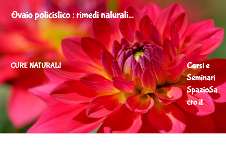 Ovaio policistico : rimedi naturali 1 Ovaio Policistico : Rimedi Naturali