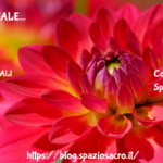 Pappa Reale