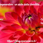 Patologie Degenerative : Un Aiuto Dalla Clorofilla