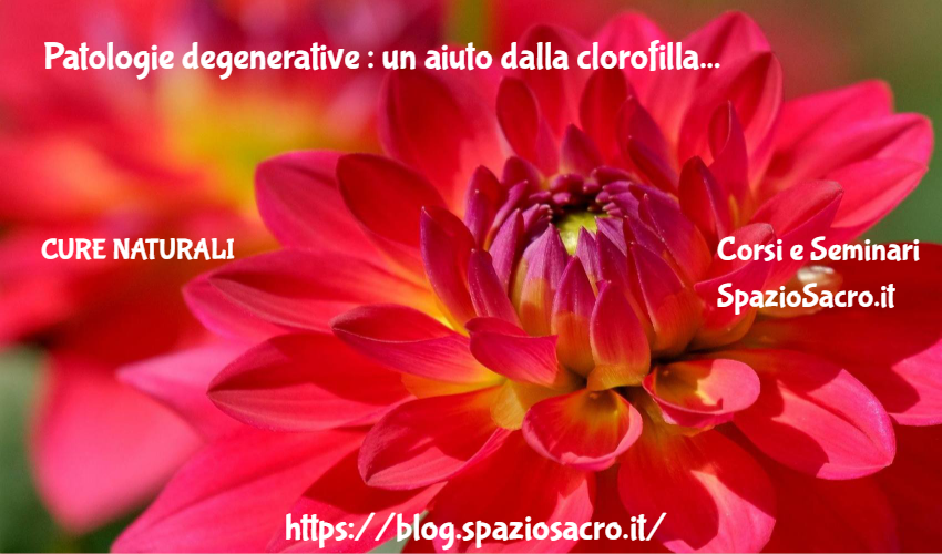 Patologie Degenerative : Un Aiuto Dalla Clorofilla