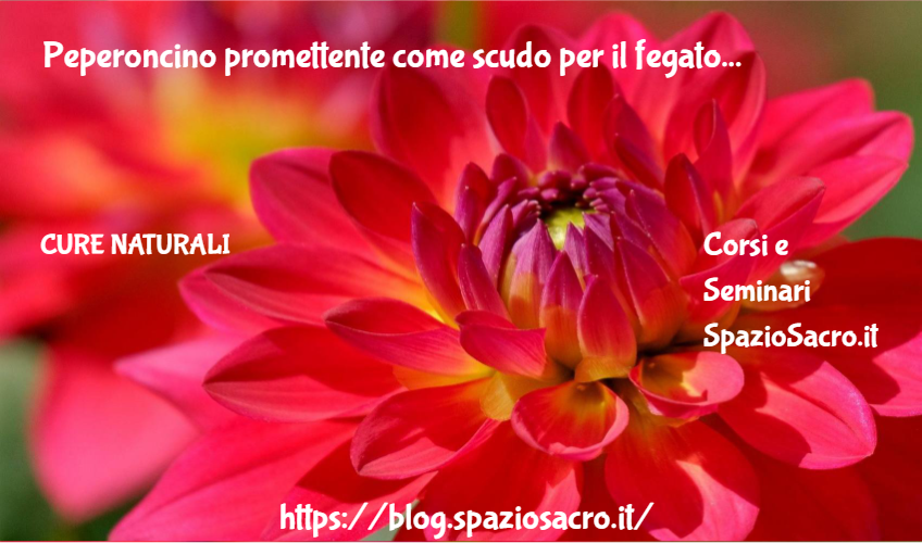 Peperoncino Promettente Come Scudo Per Il Fegato