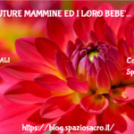 Per Le Future Mammine Ed I Loro Bebe'