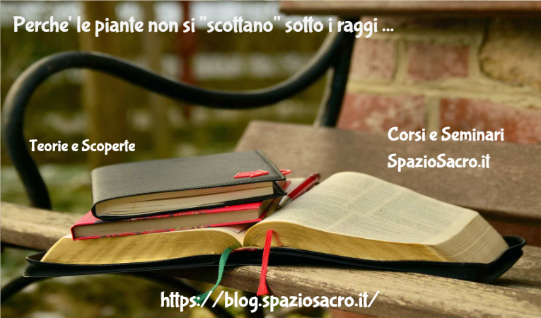 Perche' le piante non si "scottano" sotto i raggi del sole? 1 Perche' Le Piante Non Si "scottano" Sotto I Raggi Del Sole?