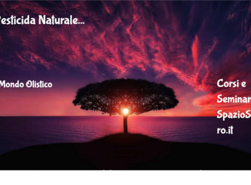 Pesticida Naturale 4 Pesticida Naturale