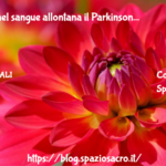 Piu' Ferro Nel Sangue Allontana Il Parkinson