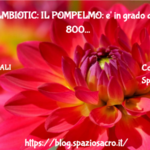 POMPELMBIOTIC: IL POMPELMO: e' in grado di eliminare 800 tipi di BATTERI e oltre 100 FUNGHI 3 Pompelmbiotic: Il Pompelmo: E' In Grado Di Eliminare 800 Tipi Di Batteri E Oltre 100 Funghi