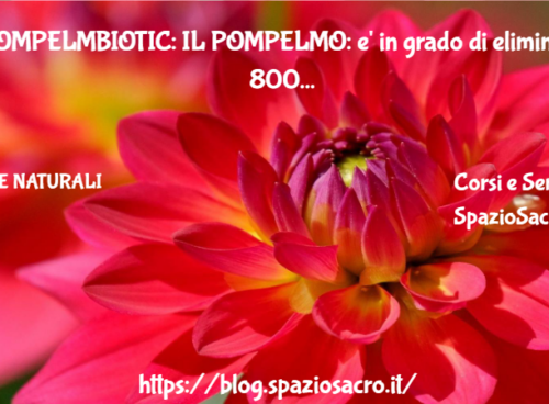 POMPELMBIOTIC: IL POMPELMO: e' in grado di eliminare 800 tipi di BATTERI e oltre 100 FUNGHI 71 Pompelmbiotic: Il Pompelmo: E' In Grado Di Eliminare 800 Tipi Di Batteri E Oltre 100 Funghi