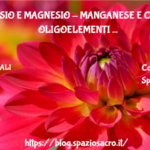 Potassio e magnesio - manganese e cobalto oligoelementi per la salute ... In estate 3 Potassio E Magnesio Manganese E Cobalto Oligoelementi Per La Salute ... In Estate